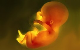 Abortion Is The Culmination Of Secular Thought