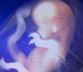Six Ways Pre-Born Babies Glorify God